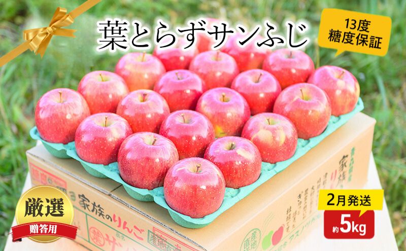 【 2月発送 】 糖度13度以上 おもてなし用 葉とらず サンふじ 約 5kg 【 弘前市産 青森りんご 】 果物 フルーツ デザート 食後 青森県産 産地直送