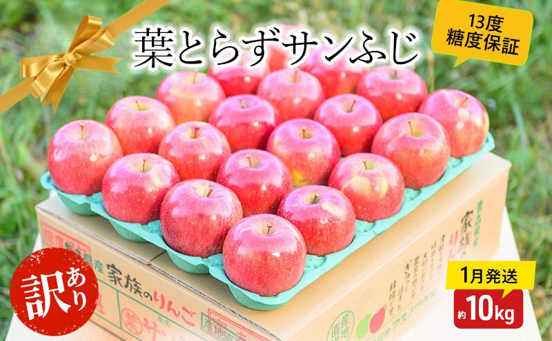 【 1月発送 】 糖度13度以上 訳あり 家庭用 葉とらず サンふじ 約 10kg 【 弘前市産 青森りんご 】 果物 フルーツ デザート 食後 青森県産 産地直送