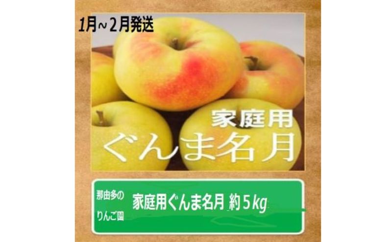 りんご 【1～2月発送】【訳あり】家庭用 ぐんま名月 約5kg 糖度13度以上（糖度証明書付き）【 弘前市産 青森りんご 】