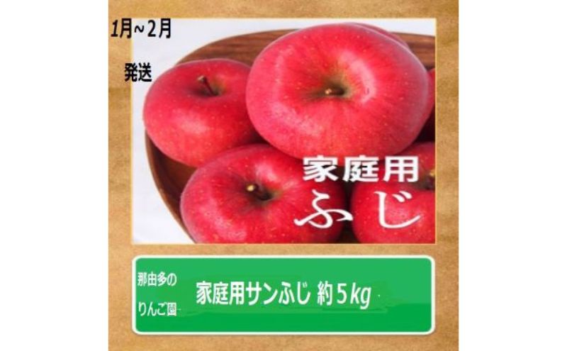 りんご 【1～2月発送】【訳あり】家庭用 サンふじ 約5kg 糖度13度以上（糖度証明書付き）【 弘前市産 青森りんご 】