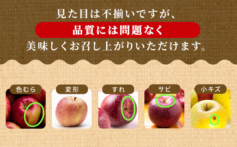 りんご 【1～2月発送】【訳あり】家庭用 ぐんま名月 ＆ サンふじ 詰め合わせ 約5kg 糖度13度以上（糖度証明書付）【 弘前市産 青森りんご 】