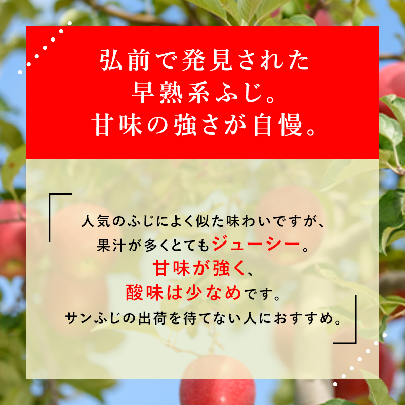 【10月発送】（糖度12度以上）訳あり品 早生ふじ (弘前ふじ) 約 10kg 【弘前市産 青森りんご 果物類 美味しい 採れたて 選りすぐり 高糖度 12.5度 ご家庭用 甘さ 驚き 果汁 土壌 肥料 プレセント  】