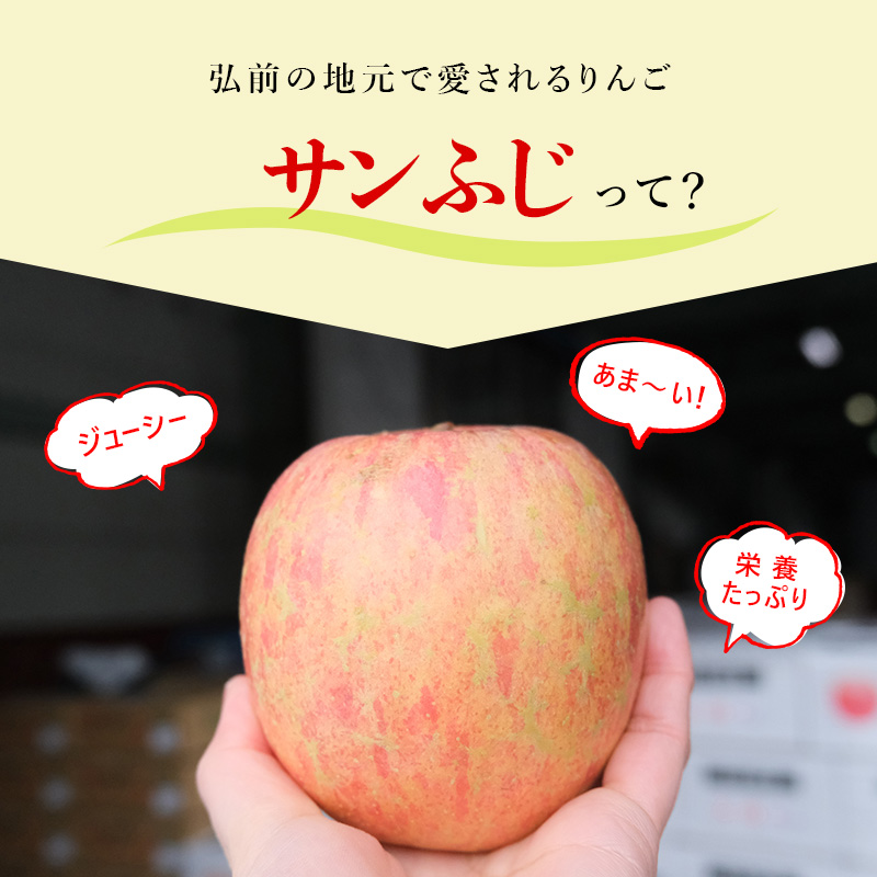 【4月クール便発送】(13度糖度保証) 訳あり CA貯蔵 サンふじ 約5kg【弘前市産・青森りんご】