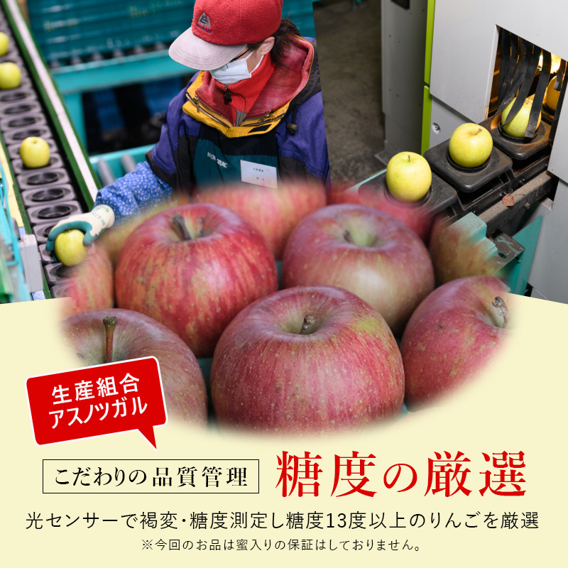 【4月クール便発送】(13度糖度保証) 訳あり CA貯蔵 サンふじ 約5kg【弘前市産・青森りんご】