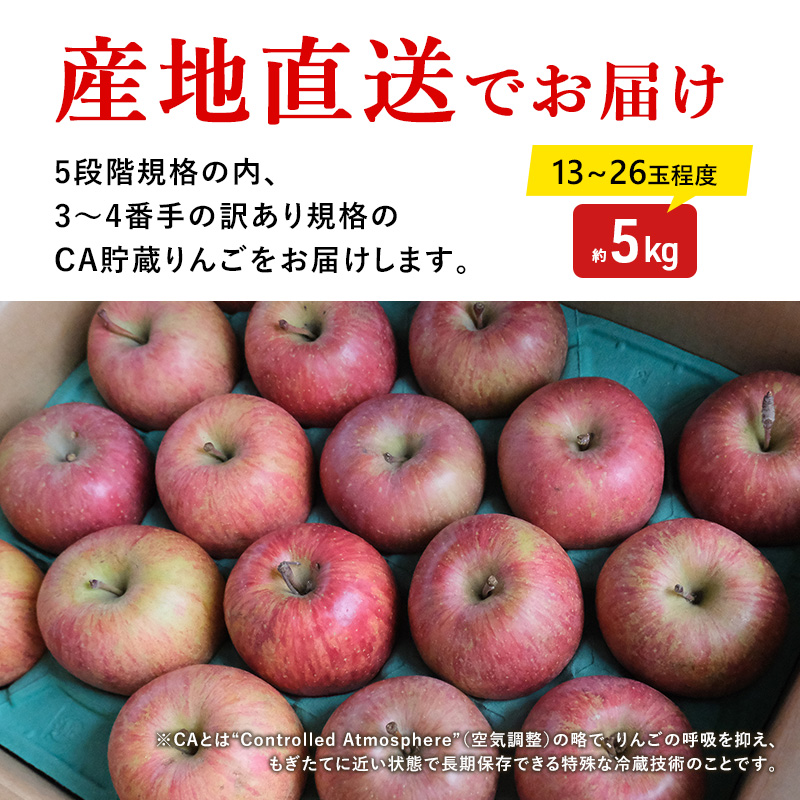 【4月クール便発送】(13度糖度保証) 訳あり CA貯蔵 サンふじ 約5kg【弘前市産・青森りんご】