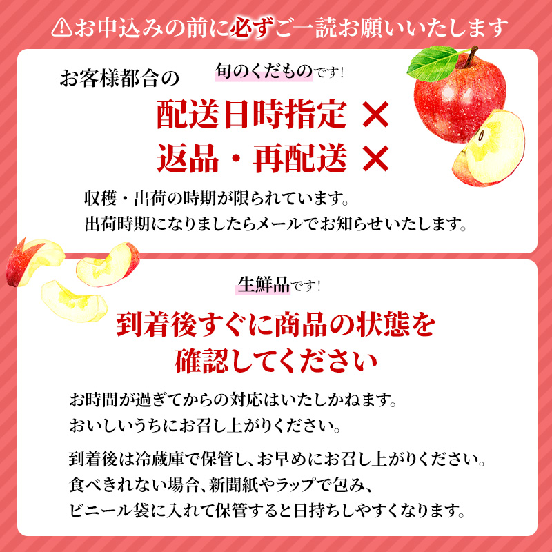 【4月クール便発送】(13度糖度保証) 訳あり CA貯蔵 サンふじ 約5kg【弘前市産・青森りんご】