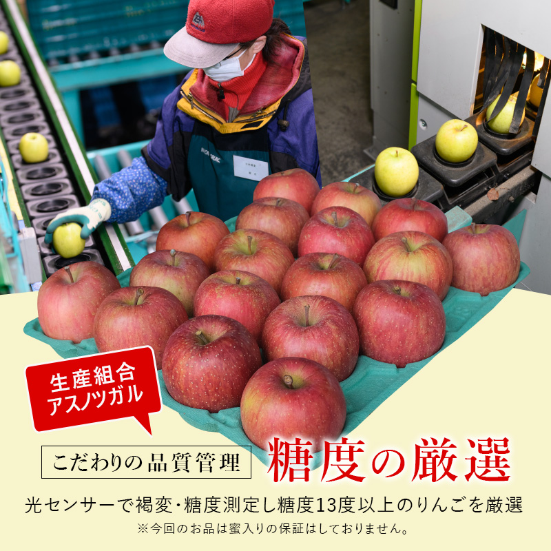 【4月クール便発送】(13度糖度保証) 贈答用 CA貯蔵 サンふじ 約5kg【弘前市産・青森りんご】