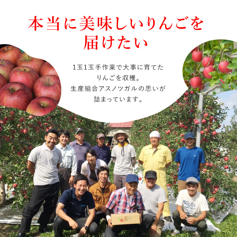 【4月クール便発送】(13度糖度保証) 贈答用 CA貯蔵 サンふじ 約5kg【弘前市産・青森りんご】