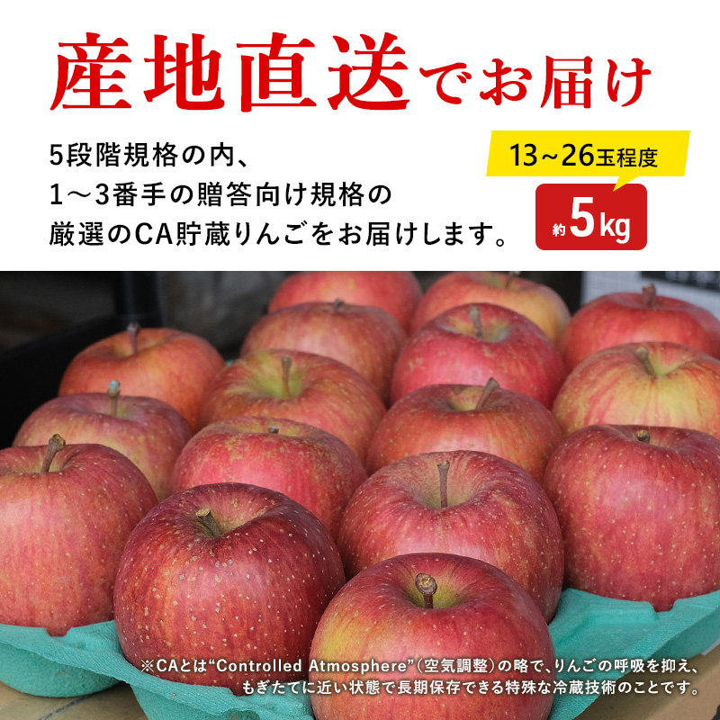 【4月クール便発送】(13度糖度保証) 贈答用 CA貯蔵 サンふじ 約5kg【弘前市産・青森りんご】