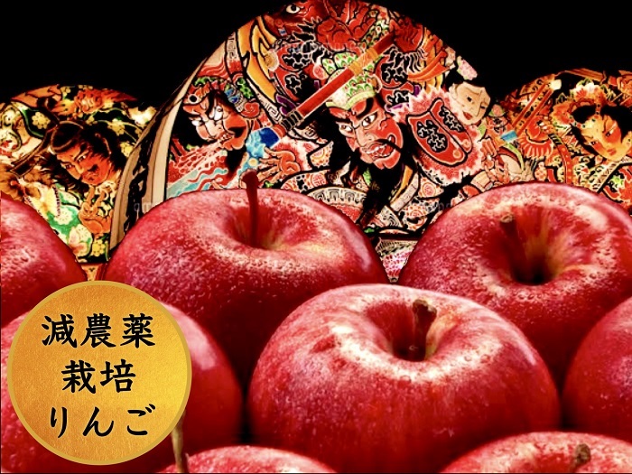 りんご 【 1月～2月発送 】 家庭用 葉取らず サンふじ 約 3kg 青森県特別栽培農産物認証農園 【 弘前市産 青森りんご  果物 フルーツ デザート おやつ 旬の果物 旬のフルーツ  】