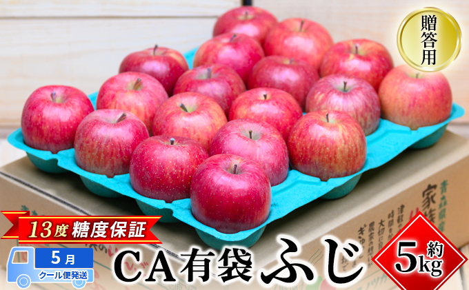 5月クール便発送】（13度糖度保証）贈答用 CA有袋ふじ 約5kg【弘前市産