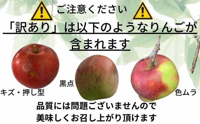 4月発送CA貯蔵 【訳あり】 家庭用 百年木の香 サンふじギフトセット