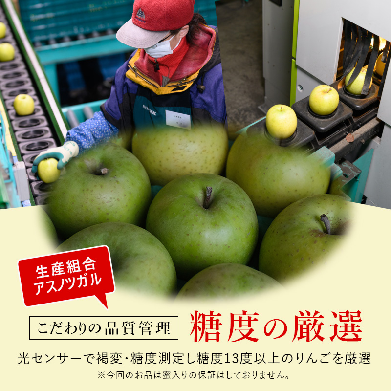 【4月クール便発送】(13度糖度保証) 訳あり CA貯蔵 王林 約5kg【弘前市産・青森りんご】