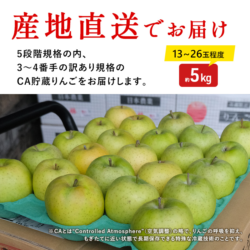 【4月クール便発送】(13度糖度保証) 訳あり CA貯蔵 王林 約5kg【弘前市産・青森りんご】