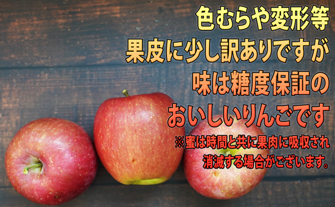 りんご 【 12月発送 】 訳あり 蜜入り EM 葉取らず サンふじ 約 10kg 糖度 13度以上 【 弘前市産 青森りんご 】 リンゴ 果物 青森 弘前 家庭用