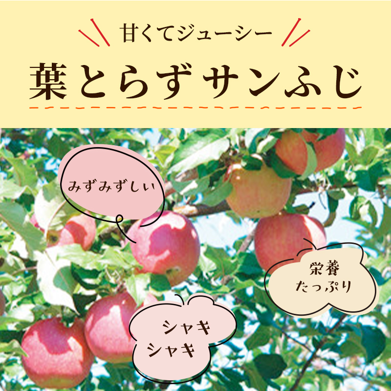 りんご 【 12月発送 】 訳あり 蜜入り EM 葉取らず サンふじ 約 10kg 糖度 13度以上 【 弘前市産 青森りんご 】 リンゴ 果物 青森 弘前 家庭用【 果物類 林檎  】