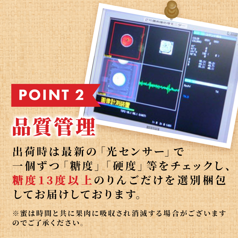 りんご 【 12月発送 】 訳あり 蜜入り EM 葉取らず サンふじ 約 10kg 糖度 13度以上 【 弘前市産 青森りんご 】 リンゴ 果物 青森 弘前 家庭用【 果物類 林檎  】