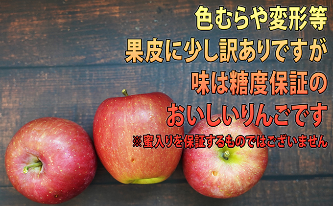 りんご 【 3月発送 】 訳あり EM 葉取らず サンふじ 約 10kg 糖度 13度以上 【 弘前市産 青森りんご 】 リンゴ 果物 青森 弘前 家庭用