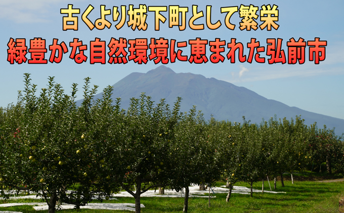 りんご 【 3月発送 】 訳あり EM 葉取らず サンふじ 約 10kg 糖度 13度以上 【 弘前市産 青森りんご 】 リンゴ 果物 青森 弘前 家庭用