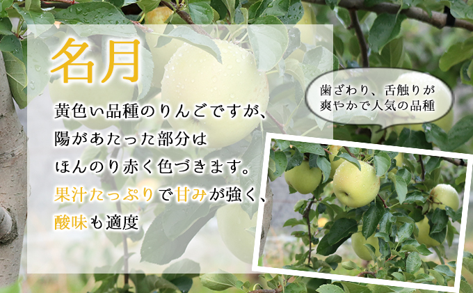 【1月発送】訳あり 家庭用 ちとせ村 名月 約3kg【弘前市産・青森りんご】