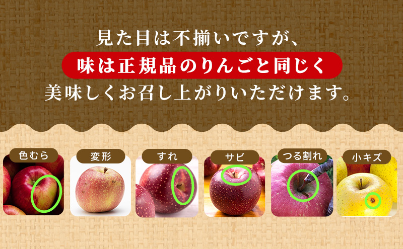 【1月発送】訳あり 家庭用 ちとせ村 名月 約3kg【弘前市産・青森りんご 果物 フルーツ 産地直送 青森のりんご 食後 デザート おやつ  】