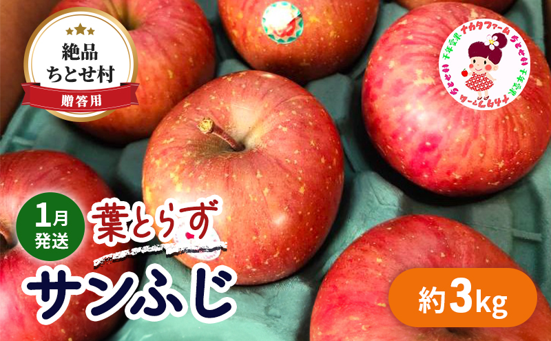 【1月発送】贈答用 絶品 ちとせ村 葉とらずサンふじ 約3kg【弘前市産・青森りんご】