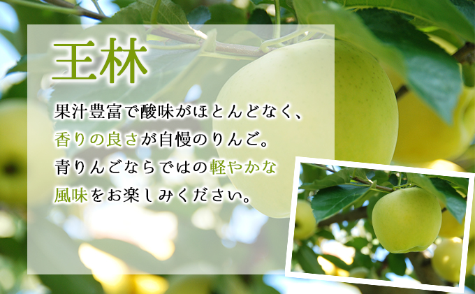 【12月発送】訳あり 家庭用 ちとせ村 王林 約5kg【弘前市産・青森りんご】