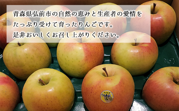 【12月発送】贈答用 絶品ちとせ村 名月 約3kg【弘前市産・青森りんご】