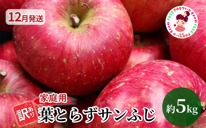 【12月発送】訳あり 家庭用 ちとせ村 葉とらずサンふじ 約5kg【弘前市産・青森りんご】