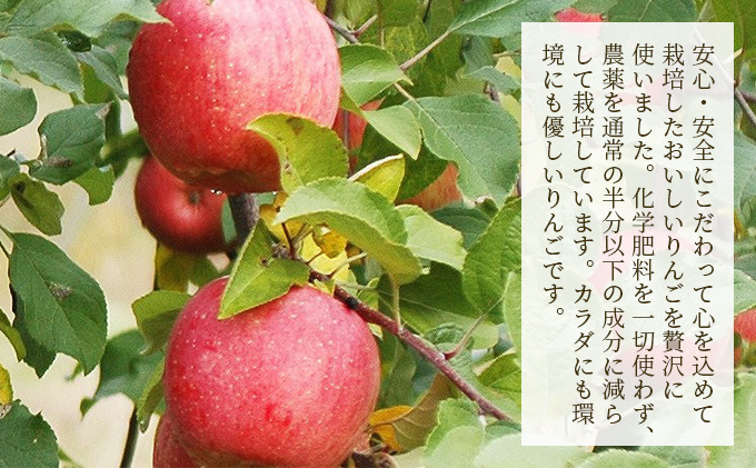 りんご贅沢しぼり500ml（2本入り）