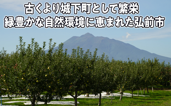 8月～12月発送 家庭用 旬のリンゴ詰め合わせ 約5kg 糖度13度以上【弘前市産・青森りんご】