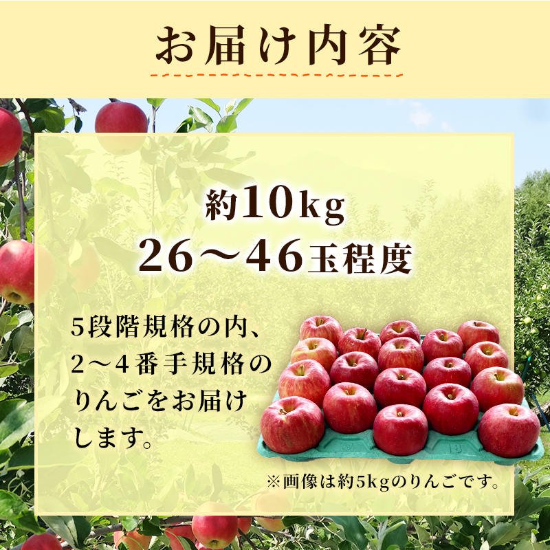 りんご 【 11月発送 】 訳あり 蜜入り EM 葉取らず サンふじ 約 10kg 糖度 13度以上 【 弘前市産 青森りんご 】 リンゴ 果物 青森 弘前 家庭用【 果物類 林檎  】