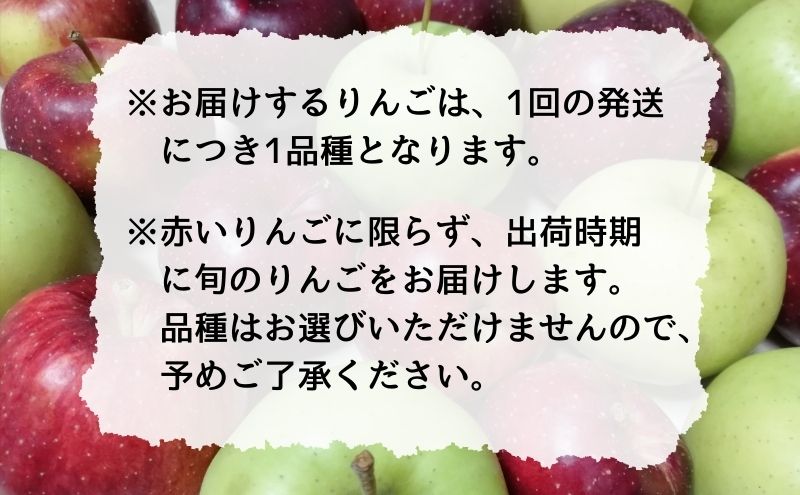 【10月～12月発送 りんご定期便】糖度13度以上 訳ありりんご 約 10kg × 3回 家庭用コース【弘前市産 青森りんご】