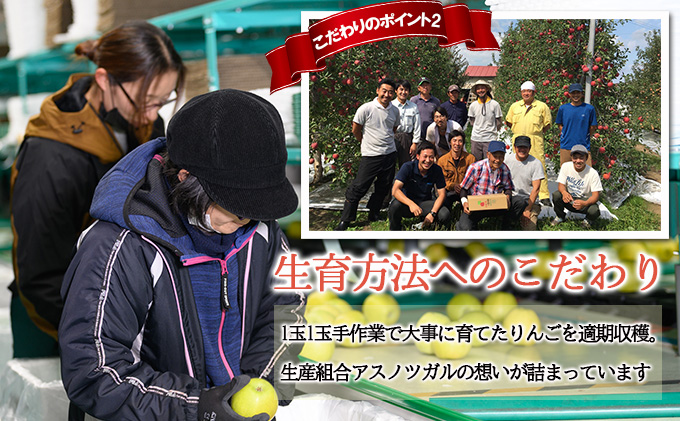 【1月～3月発送 りんご定期便】糖度13度以上 おもてなし用 りんご 約 5kg × 3回 おもてなし用コース【弘前市産 青森りんご 果物 フルーツ デザート 品種おまかせ 旬の果物  】