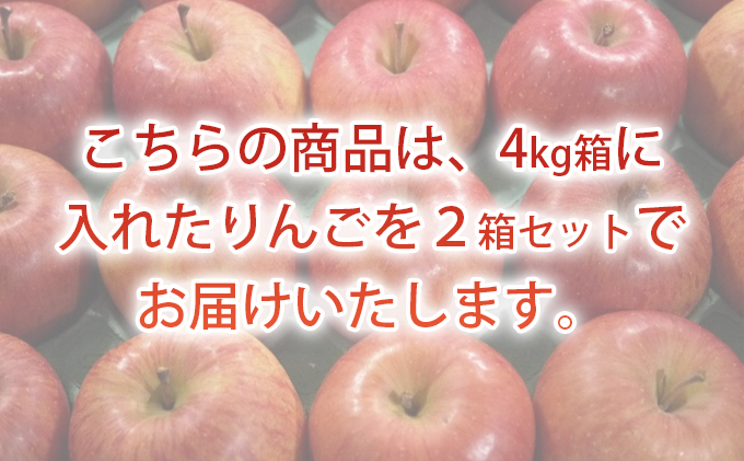 9月発送 訳あり 葉とらず つがる 約8kg【弘前市産・青森りんご】