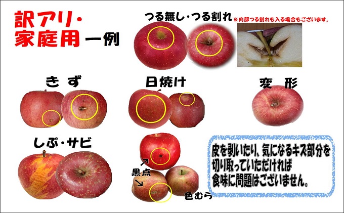 【11月発送】白熊 訳あり家庭用 サンふじ 約5kg 糖度13度【弘前市産 青森りんご】