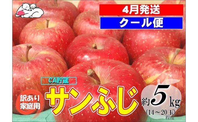 73.青森県産りんご はるか サンふじ小玉箱込み約4.5kg - 果物