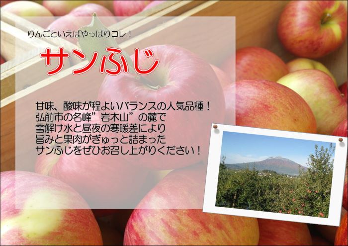 【1月発送】白熊 特選 サンふじ 絆 約3kg 糖度13度【弘前市産 青森りんご 果物 フルーツ 食後 デザート シャキシャキ ジューシー りんごの王様  】