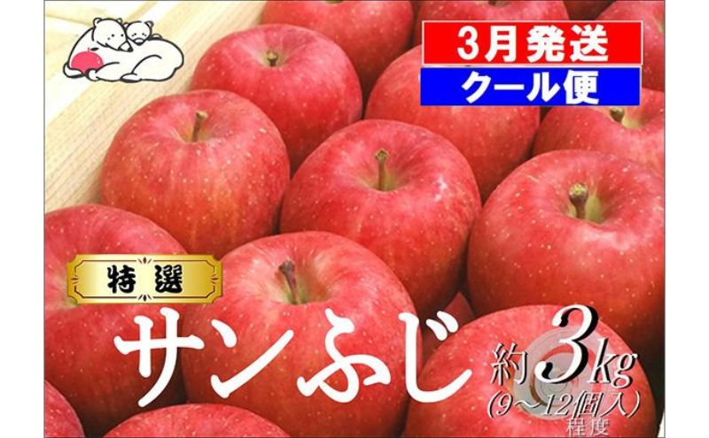 【クール便】3月発送 白熊 特選 サンふじ 絆 約3kg 糖度13度【弘前市産 青森りんご】