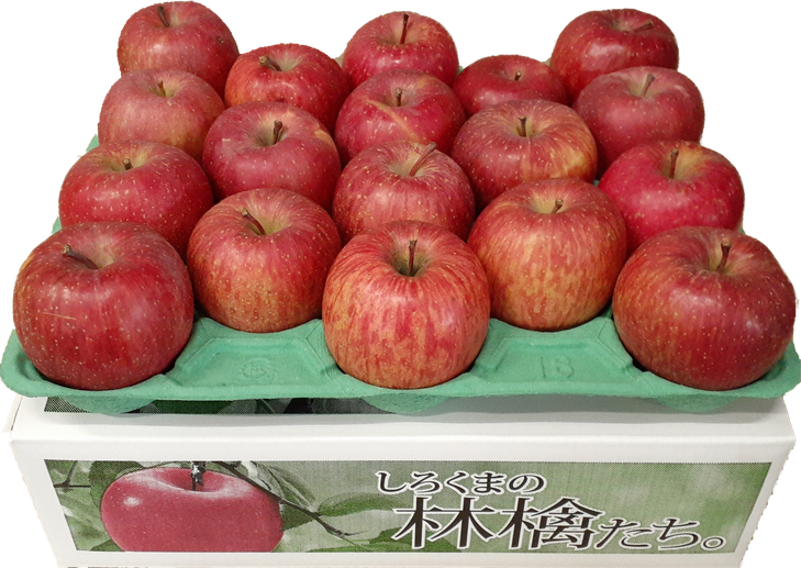 【クール便】3月発送 白熊 訳あり家庭用 サンふじ 約5kg 糖度13度【弘前市産 青森りんご 果物 フルーツ 食後 デザート シャキシャキ ジューシー りんごの王様  】