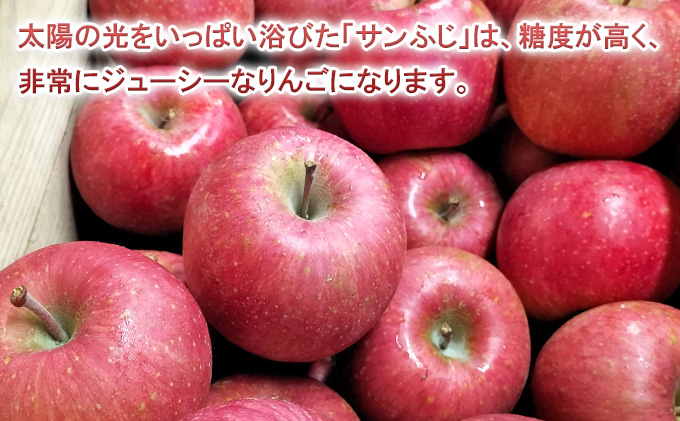 11月～12月発送 糖度13度以上 贈答規格 プレミアム サンふじ 約 5kg【弘前市産 青森りんご】