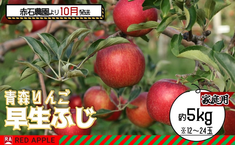 りんご 【 10月発送 】家庭用 早生ふじ 約 5kg 【 弘前市産 青森りんご 】