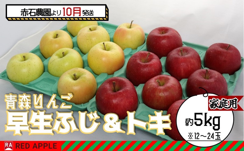 りんご 【 10月発送 】家庭用 早生ふじ ＆ トキ 約 5kg 【 弘前市産 青森りんご 】