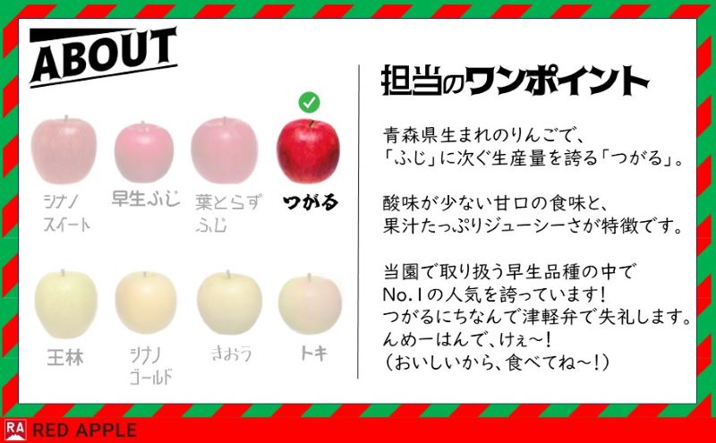 りんご 【 9月 クール便発送 】 家庭用 つがる 約 5kg 【 弘前市産 青森りんご 】REDAPPLE 青森県産 早生りんご