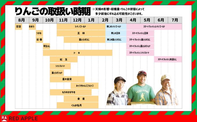 りんご 【 9月 クール便発送 】 家庭用 つがる 約 5kg 【 弘前市産 青森りんご 】REDAPPLE 青森県産 早生りんご