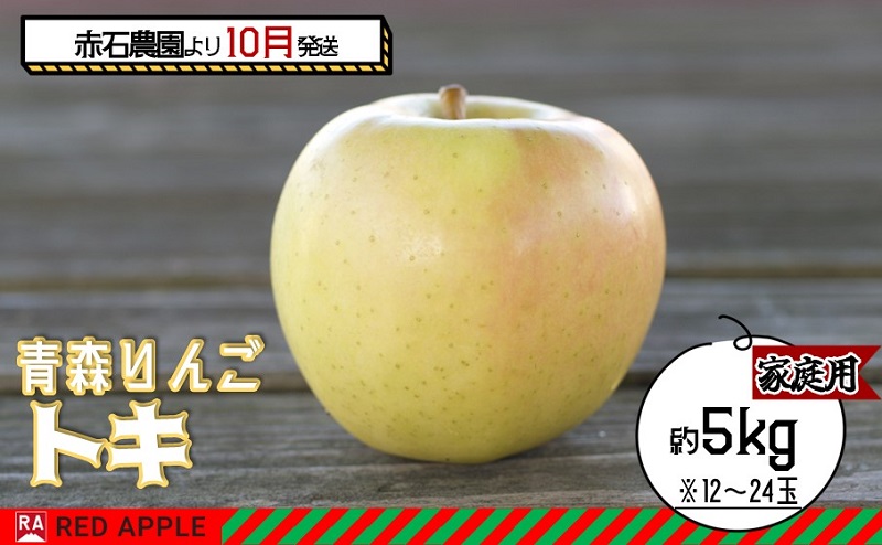 りんご 【 10月発送 】家庭用 トキ 約 5kg 【 弘前市産 青森りんご 】