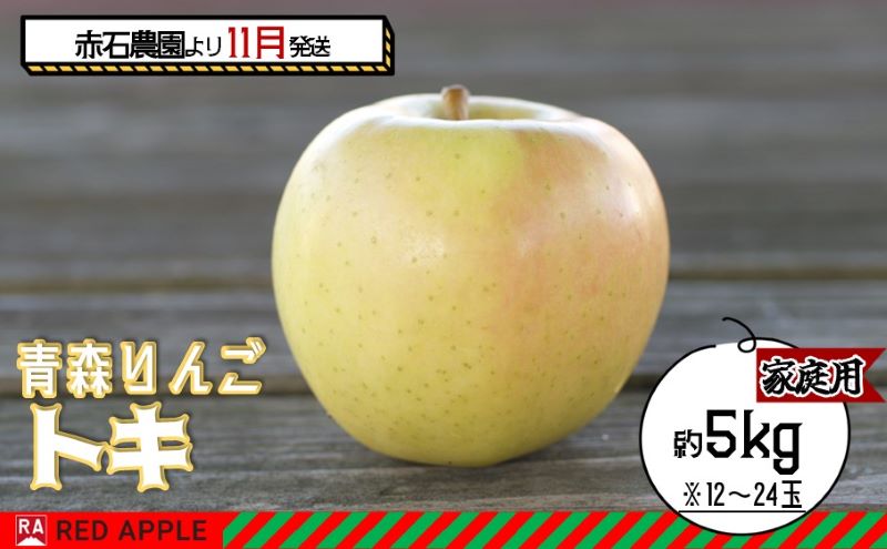 りんご 【 11月発送 】 家庭用 トキ 約 5kg【 弘前市産 青森りんご 】