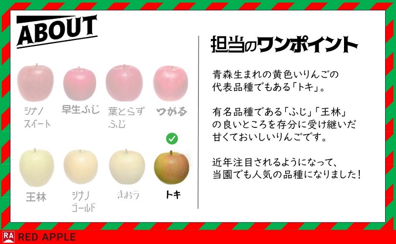 りんご 【 11月発送 】 家庭用 トキ 約 5kg【 弘前市産 青森りんご  果物 フルーツ 食後 デザート 黄色りんご 濃厚な甘み 爽やかな香り 果汁たっぷり  】