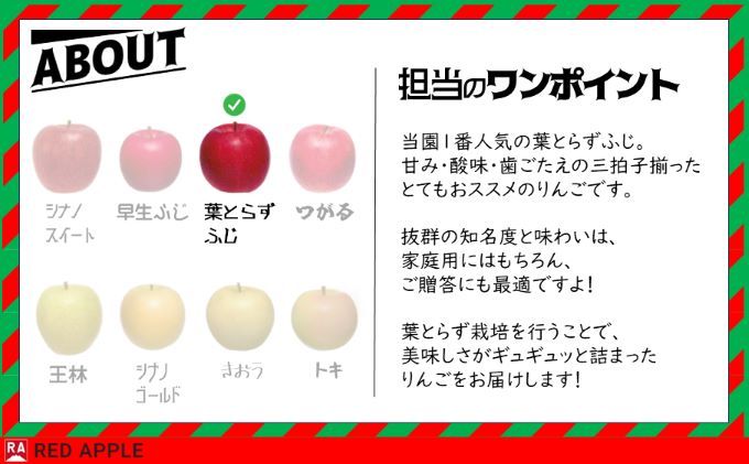 りんご 【 1月発送 】 13度糖度保証 贈答用 葉とらず ふじ 約 2.5kg 【 弘前市産 青森りんご  果物類 林檎 リンゴ  】