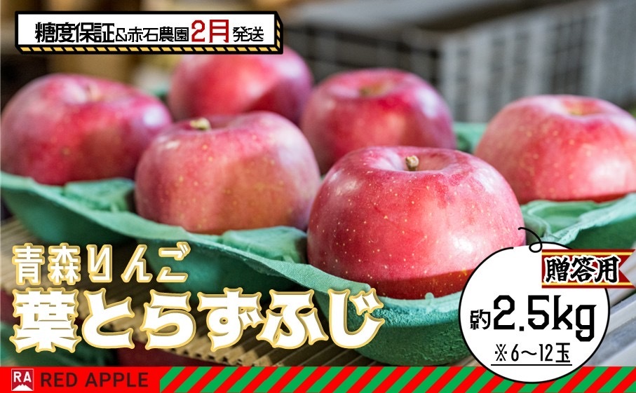 りんご 【 2月発送 】 13度糖度保証 贈答用 葉とらず ふじ 約 2.5kg 【 弘前市産 青森りんご  果物類 林檎 リンゴ  】